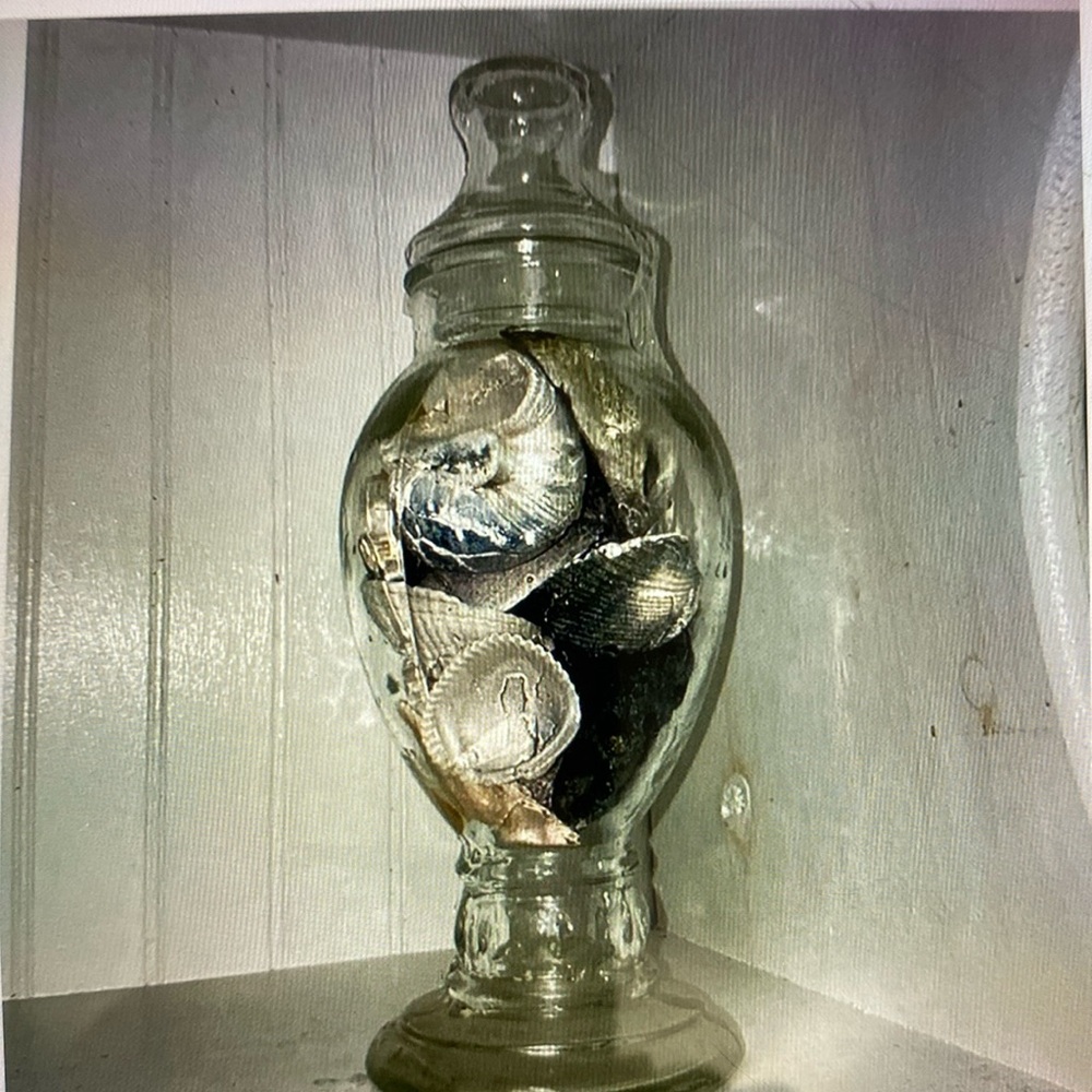 1970 seashell find